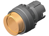 A20L-A2EW