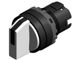 A20S-31EW
